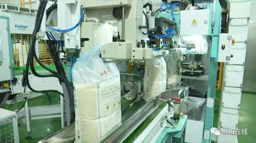 射陽大米首獲省政府農(nóng)業(yè)技術(shù)推廣獎(jiǎng)，技術(shù)創(chuàng)新引領(lǐng)產(chǎn)業(yè)升級(jí)